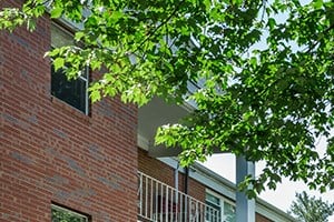 Courtyard 2 Property Image